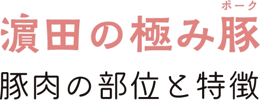 濵田の極み豚　濵肉と部位の特徴